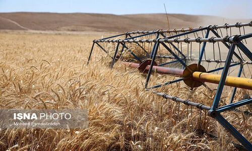 کشاورزی حفاظتی؛ راه نجات زنجان از بحران خشکسالی و تهدید امنیت غذایی