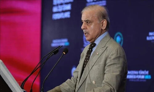 شهباز شریف هشدار داد: آتش‌بس افغانستان-پاکستان همچنان در معرض فروپاشی است!