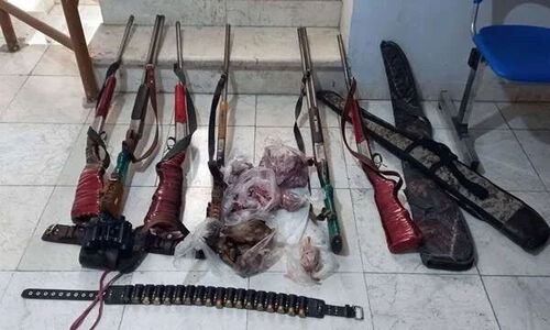 کشف ۱۴ قبضه سلاح غیرمجاز و ۵۶ لاشه جانوری در مازندران؛ مأموران حفاظت وارد عمل شدند