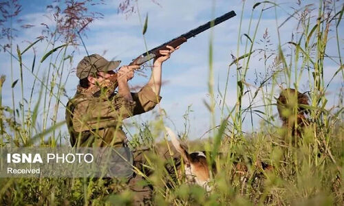 دستگیری دو شکارچی متخلف در زنجان با کشف لاشه خرگوش شکارشده و سلاح غیرمجاز