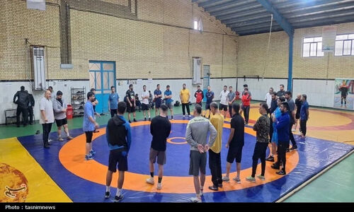 کارگاه تخصصی کهگیلویه و بویراحمد؛ جهش فنی کشتی فرنگی با آموزش‌های نوین