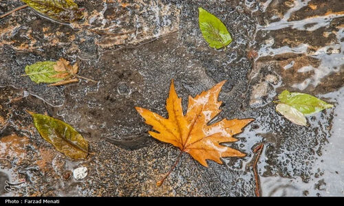 کرمان در انتظار باران؛ دلتنگی مردم خسته از آسمان خشک و بی‌رحمت