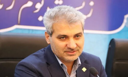 انصاری هشدار داد: صدور مجوز صنایع باید کاملاً منطبق با قانون هوای پاک باشد!