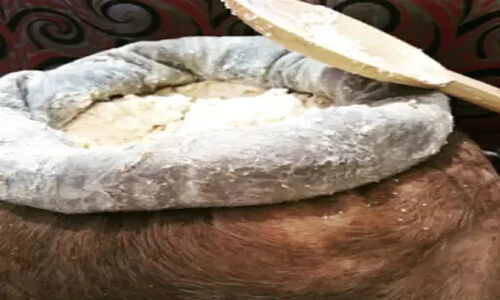 ثبت ملی ۳ محصول لبنی بومی خراسان شمالی؛ احیای گنجینه‌ای فراموش‌شده در دل روستاها
