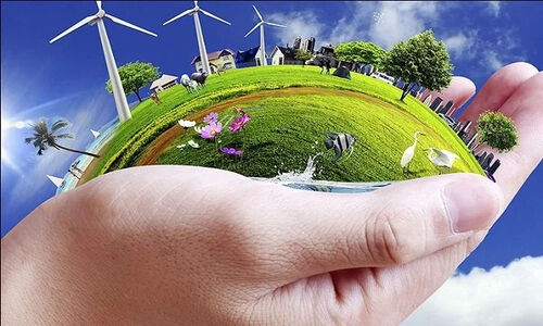 پژوهشگر ایرانی دانشگاه تربیت مدرس؛ پیشگام جهانی در تولید سوخت پاک از زیست‌توده