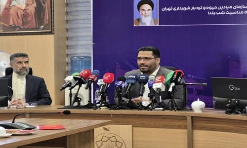 سازمان میادین تهران از تمهیدات ویژه شب یلدا رونمایی کرد؛ بازارها چگونه آماده می‌شوند؟