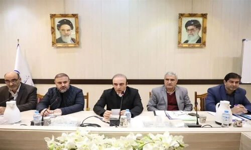 اقدامی مهم برای جلوگیری از خروج دام‌های مولد در اردبیل؛ سهم استان چگونه تأمین می‌شود؟