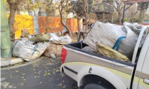 شکار کتفی‌های غیرمجاز در شمال‌غرب تهران؛ طرحی جدی و بی‌رحمانه برای پاکسازی محلات!