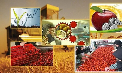 دومین نمایشگاه صنایع تبدیلی مازندران؛ رونمایی از فرصت‌های نوین کشاورزی در قلب شمال ایران