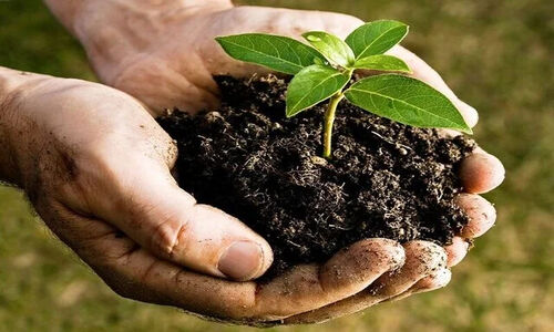 چرا خاک‌های زمین، راز سقوط تمدن‌های بزرگ را فاش می‌کنند؟