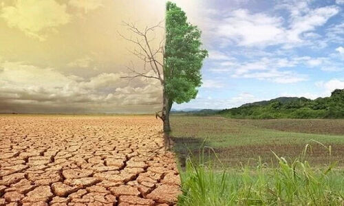 گام‌های جدی ایران برای مهار بیابان‌زایی و نجات زمین‌های خشک در ۱۴۰۳