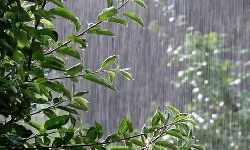 هشدار جدی مدیر جهاد کشاورزی گناوه: سیلاب‌های ناگهانی و تگرگ‌های سهمگین در راه است!