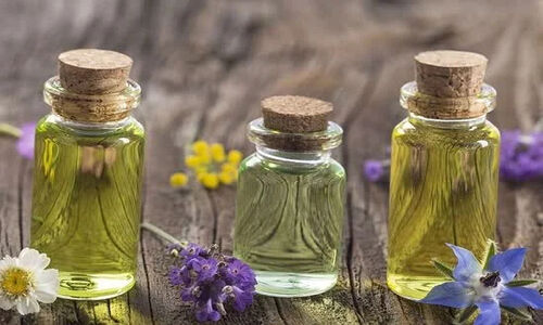 ۵۰ سال پژوهش در خراسان جنوبی؛ کشف گونه گیاهی نادر و ثبت اختراعات جهانی که همه را شگفت‌زده کرد!