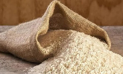 توزیع ۹۴۵ تن برنج هندی با قیمت استثنایی در مشهد؛ حمایت ویژه از اقشار کم‌برخوردار