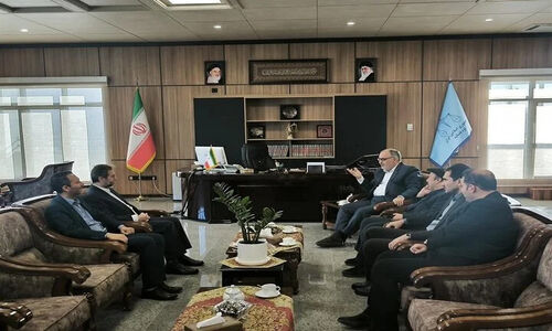 بازدید میدانی معاون قوه قضائیه از عملکرد هیأت رسیدگی به تخلفات اداری در کرمانشاه