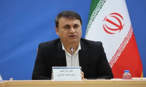 فتح‌اللهی: سمن‌ها چگونه دست قدرتمند دولت در حل بحران‌های اجتماعی شدند؟