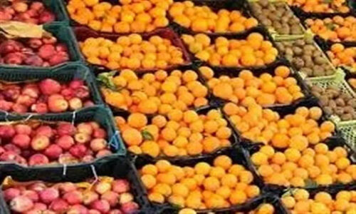 مازندران چگونه 300 تن میوه شب عید را ذخیره کرد؟ جزئیات شگفت‌انگیز از پشت‌پرده تأمین سیب و پرتقال!