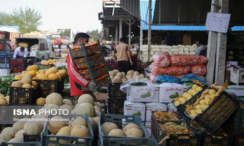 ۹ غرفه ویژه فروش میوه شب یلدا در مشهد با قیمت مصوب میدان بار فعال شدند