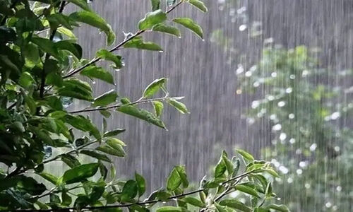آب‌انبارهای تاریخی لامرد پس از سال‌ها دوباره پر از آب شدند!