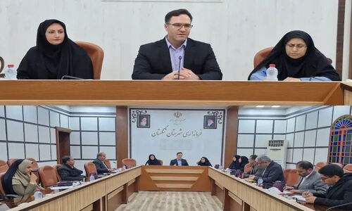 فرماندار تنگستان: فرصت طلایی تسهیلات اشتغال را از دست ندهید!