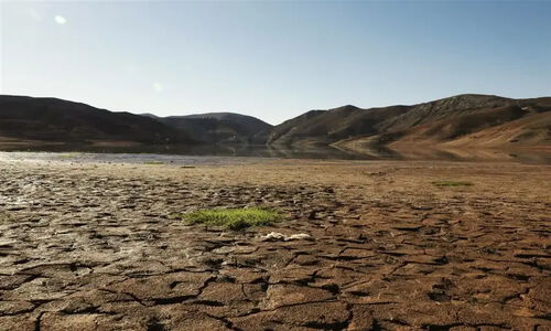 هشدار استاد دانشگاه درباره بحران خاموش کشاورزی؛ آیا آب باید رایگان شود؟