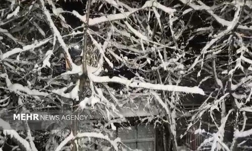 آغاز بارش برف سنگین در مرکز و کوهستان‌های جنوب آذربایجان غربی؛ هشدار جدی برای رانندگان!