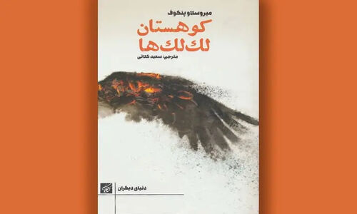 رمان «کوهستان لک‌لک‌ها»؛ سفری پرهیجان به دل چالش‌های مهاجرت در مرز شرق و غرب