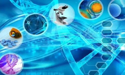 چرا مقاومت در برابر زیست‌فناوری کشاورزی ۳ میلیارد دلار به کشور خسارت زد؟