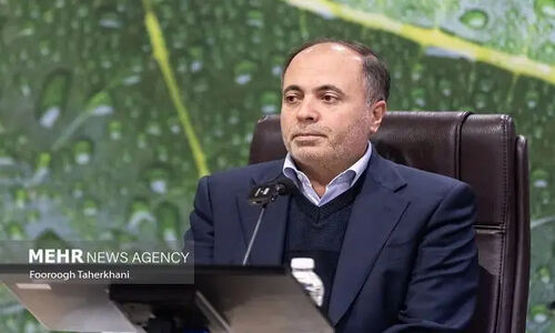 وزیر جهاد کشاورزی خبر داد: ترخیص ۴ میلیون تن نهاده دامی از بنادر کشور؛ چه تاثیری بر بازار دارد؟
