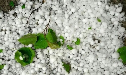 تگرگ بی‌سابقه در روستای سرزه شمیل هرمزگان؛ طبیعت به شوک فرو رفت!