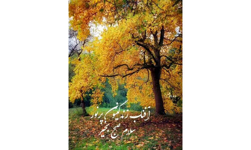 فال حافظ 28 آذر؛ رازهای نهفته امروز شما در اشعار کهن!