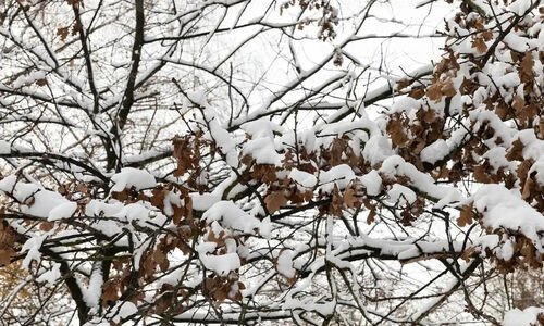 ۱۸ استان کشور در سرمای زیر صفر؛ هشدار برای افزایش آلودگی هوای شهرهای صنعتی!