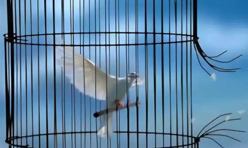 آزادی 110 زندانی غیرعمد در سیستان و بلوچستان؛ بازگشت به زندگی پس از سال‌ها انتظار