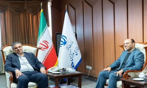 رئیس فدراسیون ووشو از ظرفیت بی‌نظیر صنایع استان مرکزی برای درخشش ورزش پرده برداشت
