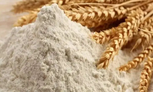 گلستان چگونه آرد ۱۶ استان را تأمین می‌کند؟ راز تداوم تولید در کارخانجات برتر