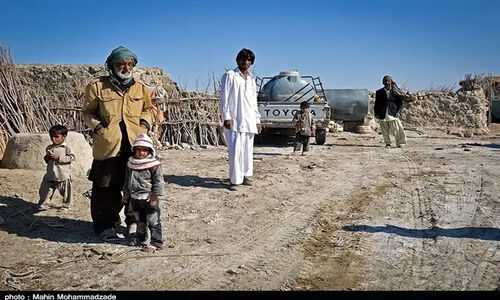 چرا دامداری خرد هنوز نفس معیشت سیستان را حفظ کرده؟