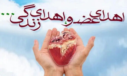 ثبت 17 مورد نجات‌بخش اهدای عضو در مازندران؛ جان دوباره به بیماران نیازمند رسید