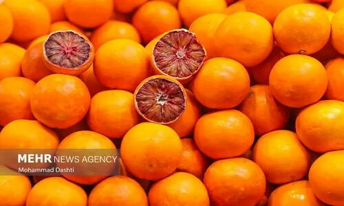 صادرات حیرت‌انگیز ۲۰۰ میلیون دلاری مرکبات تازه و فرآوری شده ایران به ۳۰ کشور جهان!