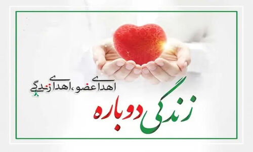 اهدای عضو بیمار مرگ مغزی در تبریز، جان سه بیمار را دوباره زنده کرد!