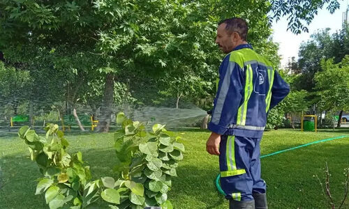 آبیاری ۶۰ درصد فضای سبز مشهد با پساب شهری؛ پروژه‌ای که تغییر بزرگی رقم زد!
