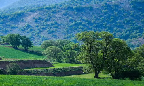 سپیدان؛ نگین سبز فارس در آستانه جهش بزرگ اقتصادی و گردشگری!