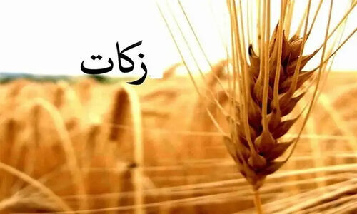 پرداخت ۲۰۰ میلیارد تومان زکات در اصفهان؛ آیا مردم به فریضه الهی واقف شدند؟