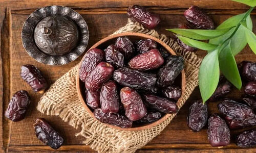 شیراز آماده میزبانی بزرگ‌ترین نمایشگاه تخصصی خرما در ایران!