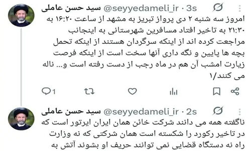 آیت‌الله عاملی: ایران‌ایرتور با تأخیرهای بی‌سابقه پروازی، مسافران را در سرگردانی رها کرد!