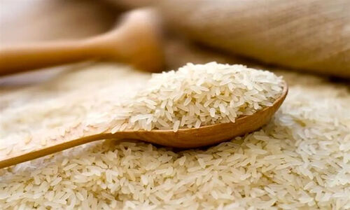 شایعه ریختن تُن‌ها برنج به دریا تکذیب شد؛ ماجرای واقعی چیست؟