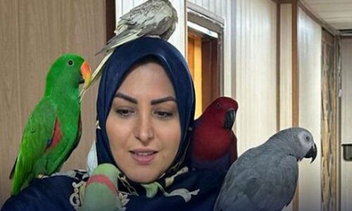 فیلم اجرای بسیار با شکوه المیرا شریفی مقدم در آنتن زنده صدا و سیما ایران : آقا شادش کن آهان …