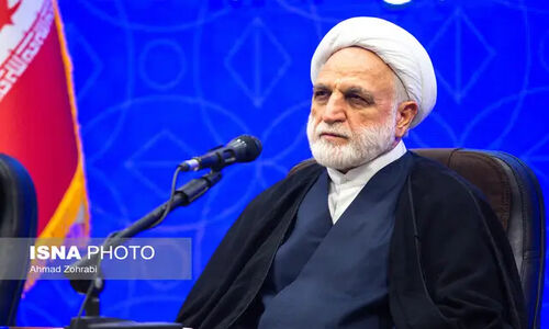 راه‌اندازی درگاه ثبت اطلاعات سمن‌ها؛ گامی موثر در پیشگیری از جرم