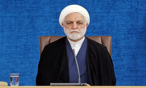 اژه‌ای: تسهیل فعالیت سازمان‌های مردم‌نهاد، کلید طلایی پیشگیری از جرم است!