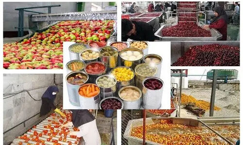 همدان به قطب فرآوری ۵ میلیون تن محصول کشاورزی تبدیل شد؛ اشتغالزایی بیش از ۱۰ هزار نفر!