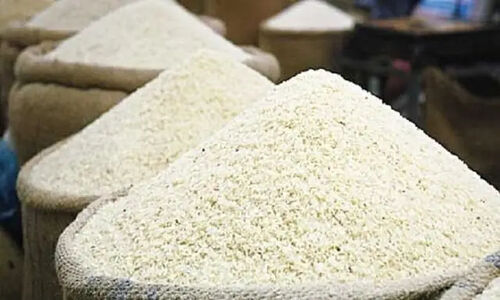 عرضه مستقیم برنج هاشمی مازندران با تخفیف ویژه در خراسان شمالی؛ واسطه‌ها حذف شدند!